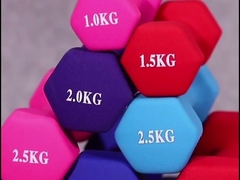 5kg 10kg 20kg Adjustable Gym Dumbbell Set Solid Cast Iron Dia 30mm For Fitness