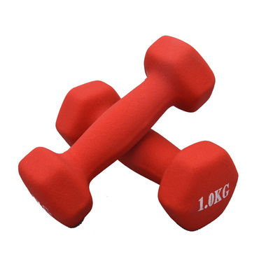 5kg 10kg 20kg Bộ tạ tập thể dục có thể điều chỉnh bằng gang đúc đặc, đường kính 30mm cho thể dục